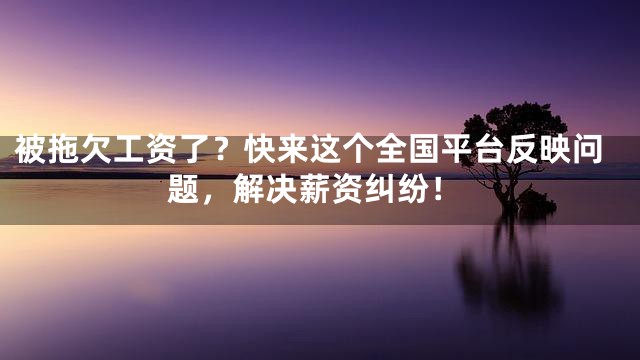 被拖欠工资了？快来这个全国平台反映问题，解决薪资纠纷！
