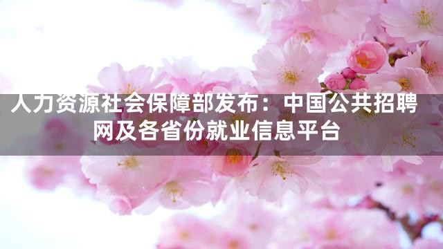 人力资源社会保障部发布：中国公共招聘网及各省份就业信息平台
