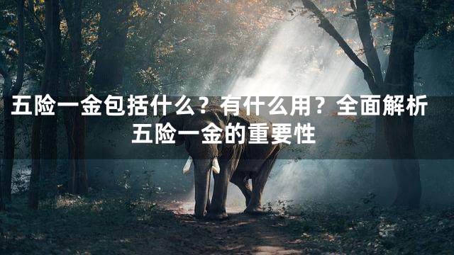 五险一金包括什么？有什么用？全面解析五险一金的重要性