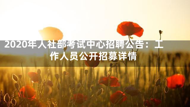 2020年人社部考试中心招聘公告：工作人员公开招募详情