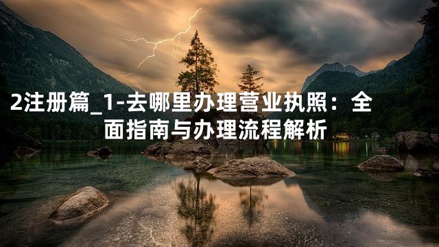 2注册篇_1-去哪里办理营业执照：全面指南与办理流程解析