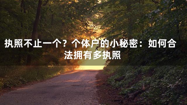 执照不止一个？个体户的小秘密：如何合法拥有多执照