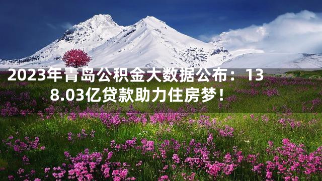 2023年青岛公积金大数据公布：138.03亿贷款助力住房梦！