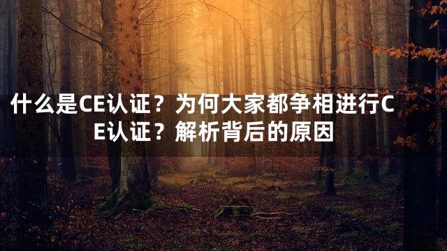 什么是CE认证？为何大家都争相进行CE认证？解析背后的原因