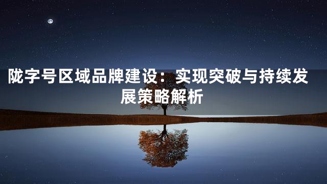 陇字号区域品牌建设：实现突破与持续发展策略解析