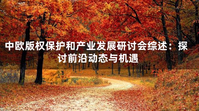 中欧版权保护和产业发展研讨会综述：探讨前沿动态与机遇
