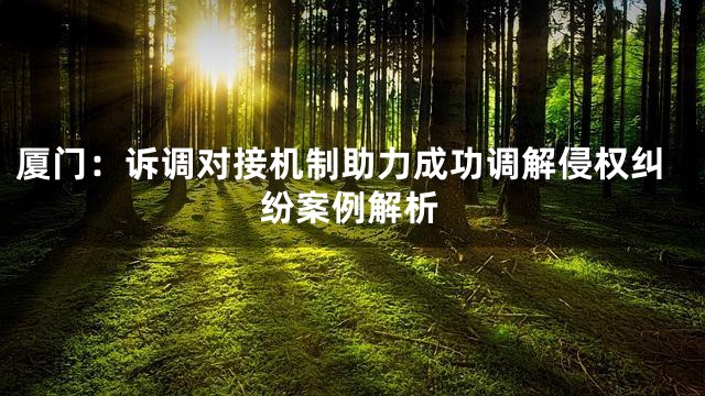 厦门：诉调对接机制助力成功调解侵权纠纷案例解析
