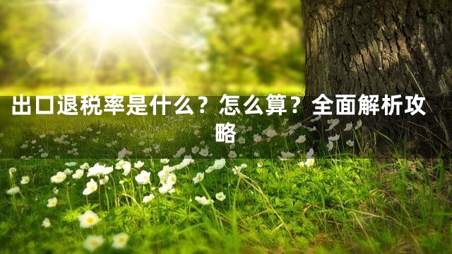出口退税率是什么？怎么算？全面解析攻略