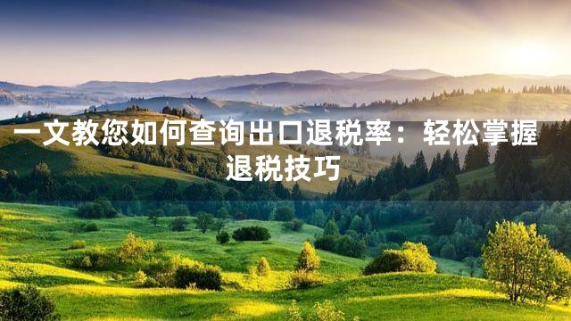 一文教您如何查询出口退税率：轻松掌握退税技巧
