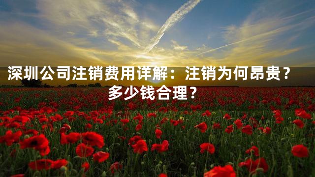 深圳公司注销费用详解：注销为何昂贵？多少钱合理？