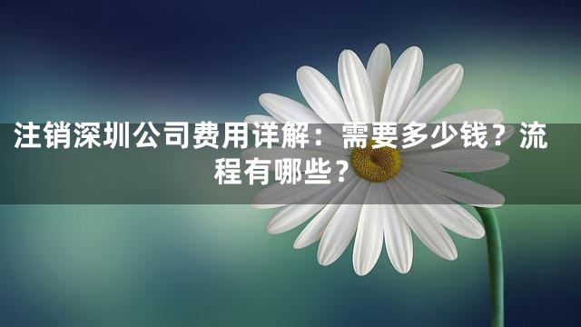 注销深圳公司费用详解：需要多少钱？流程有哪些？