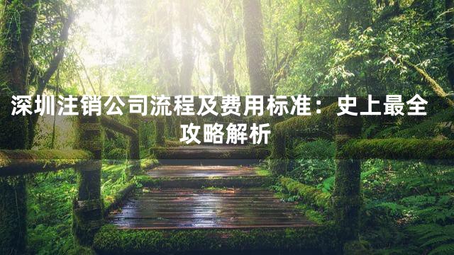 深圳注销公司流程及费用标准：史上最全攻略解析