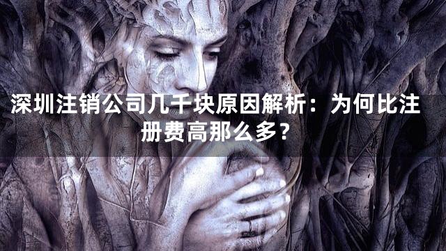 深圳注销公司几千块原因解析：为何比注册费高那么多？