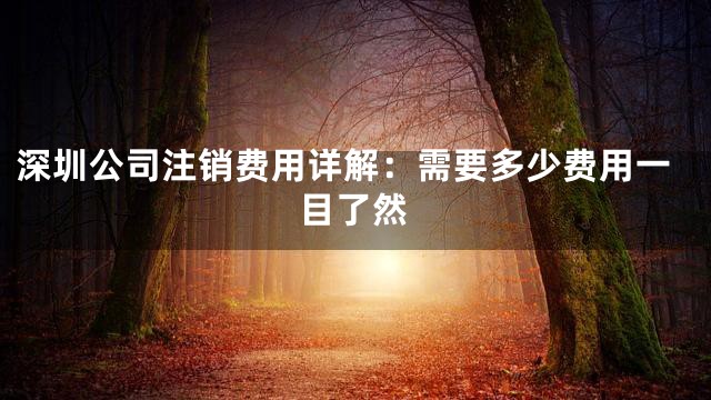 深圳公司注销费用详解：需要多少费用一目了然