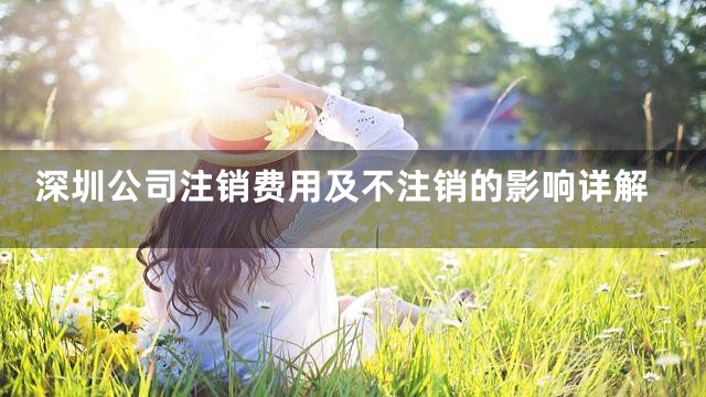 深圳公司注销费用及不注销的影响详解