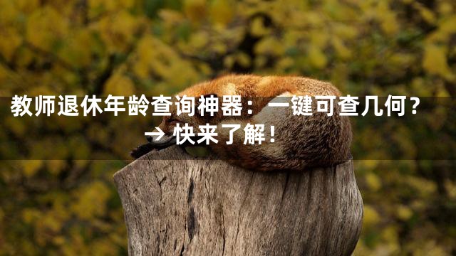 教师退休年龄查询神器：一键可查几何？→ 快来了解！