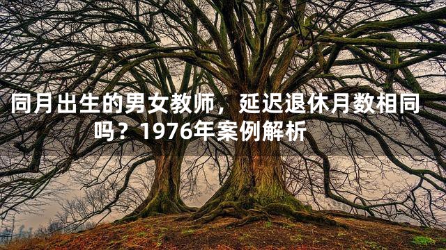同月出生的男女教师，延迟退休月数相同吗？1976年案例解析