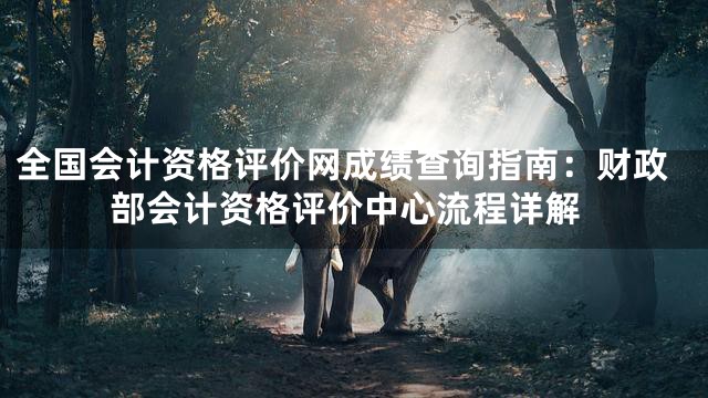 全国会计资格评价网成绩查询指南：财政部会计资格评价中心流程详解