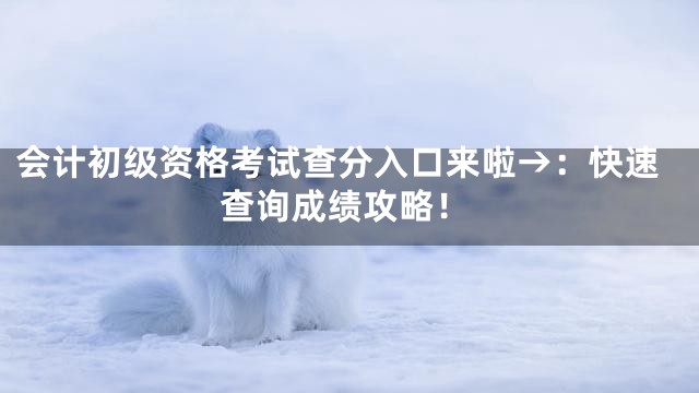 会计初级资格考试查分入口来啦→：快速查询成绩攻略！