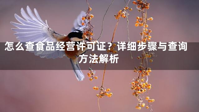 怎么查食品经营许可证？详细步骤与查询方法解析