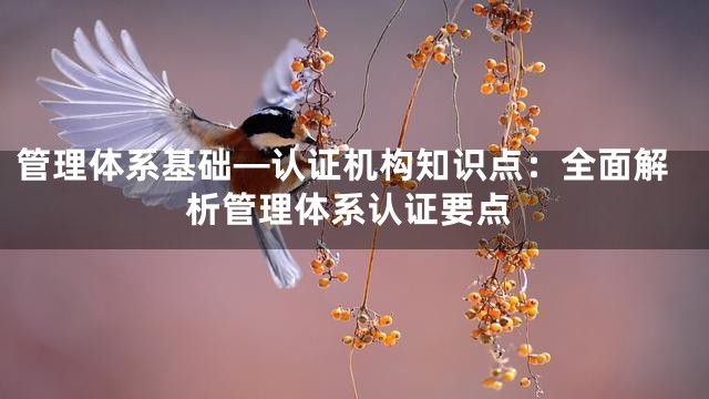 管理体系基础—认证机构知识点：全面解析管理体系认证要点