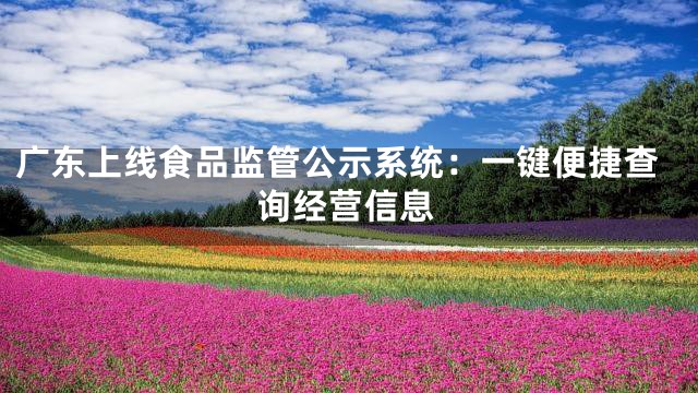 广东上线食品监管公示系统：一键便捷查询经营信息