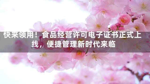 快来领用！食品经营许可电子证书正式上线，便捷管理新时代来临