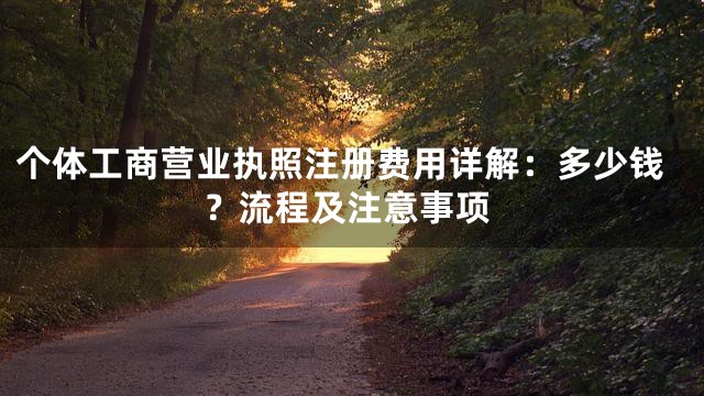 个体工商营业执照注册费用详解：多少钱？流程及注意事项