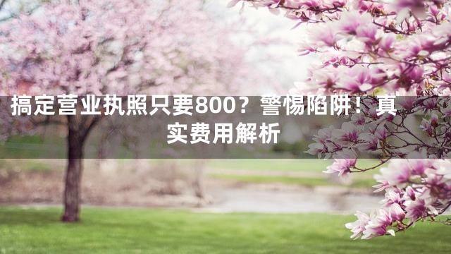 搞定营业执照只要800？警惕陷阱！真实费用解析