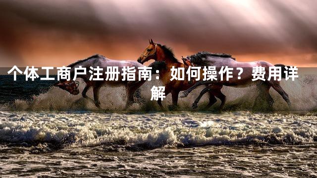 个体工商户注册指南：如何操作？费用详解