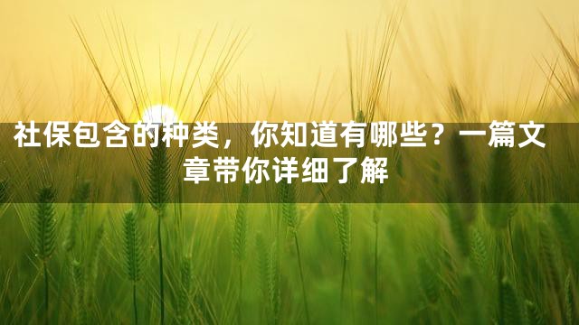 社保包含的种类，你知道有哪些？一篇文章带你详细了解