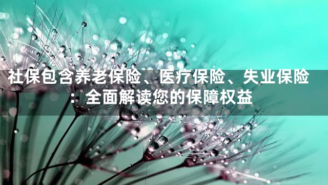社保包含养老保险、医疗保险、失业保险：全面解读您的保障权益
