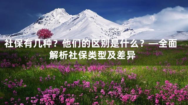 社保有几种？他们的区别是什么？—全面解析社保类型及差异