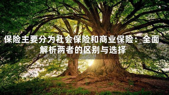 保险主要分为社会保险和商业保险：全面解析两者的区别与选择