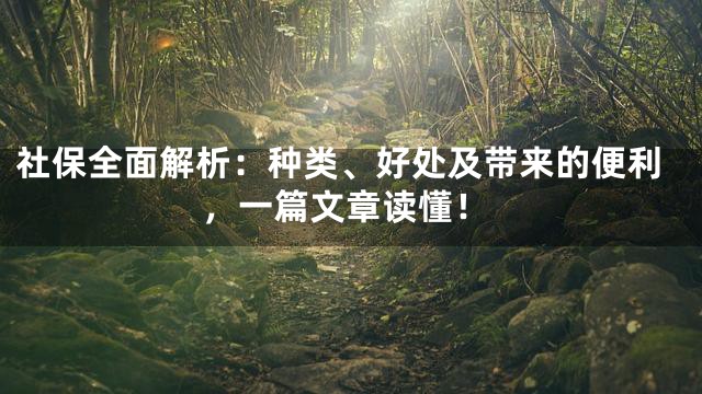 社保全面解析：种类、好处及带来的便利，一篇文章读懂！