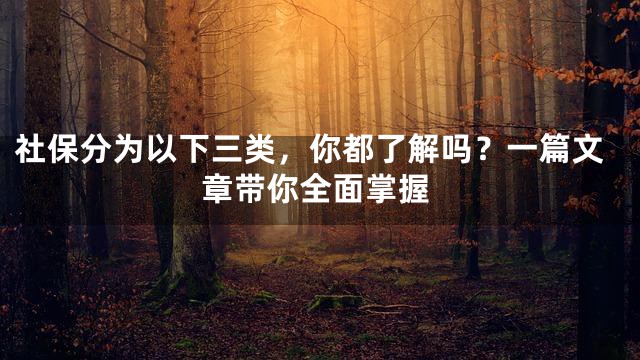 社保分为以下三类，你都了解吗？一篇文章带你全面掌握