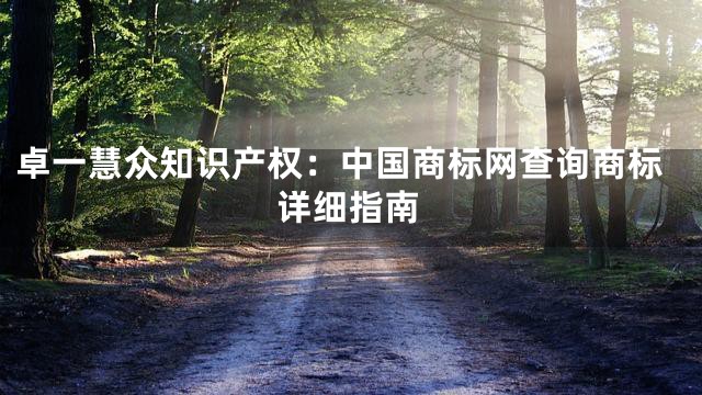 卓一慧众知识产权：中国商标网查询商标详细指南