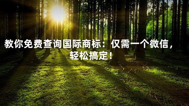教你免费查询国际商标：仅需一个微信，轻松搞定！