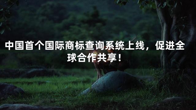 中国首个国际商标查询系统上线，促进全球合作共享！