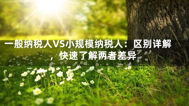一般纳税人VS小规模纳税人：区别详解，快速了解两者差异