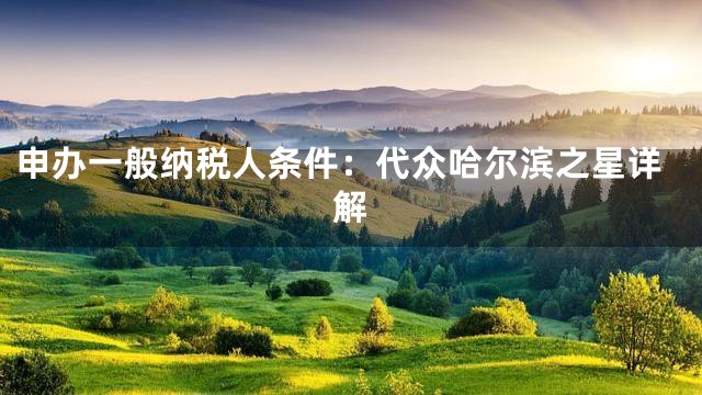 申办一般纳税人条件：代众哈尔滨之星详解