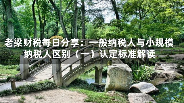 老梁财税每日分享：一般纳税人与小规模纳税人区别（一）认定标准解读