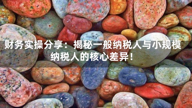 财务实操分享：揭秘一般纳税人与小规模纳税人的核心差异！