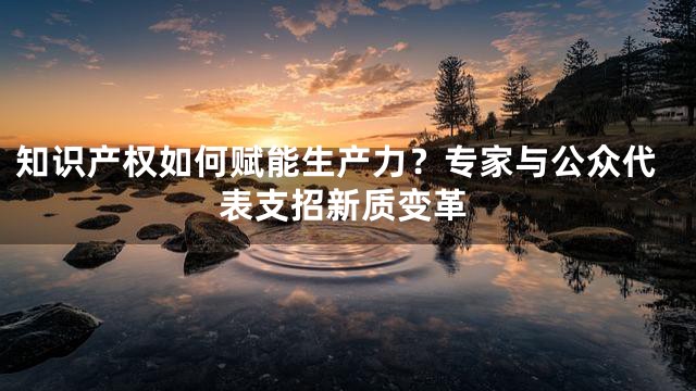 知识产权如何赋能生产力？专家与公众代表支招新质变革