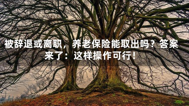 被辞退或离职，养老保险能取出吗？答案来了：这样操作可行！