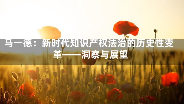 马一德：新时代知识产权法治的历史性变革——洞察与展望