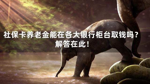 社保卡养老金能在各大银行柜台取钱吗？解答在此！