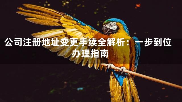 公司注册地址变更手续全解析：一步到位办理指南