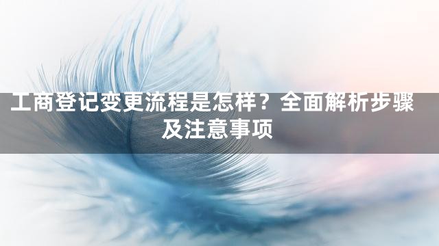 工商登记变更流程是怎样？全面解析步骤及注意事项