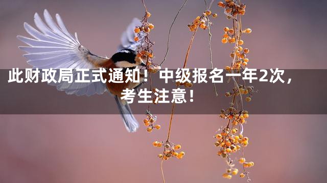 此财政局正式通知！中级报名一年2次，考生注意！